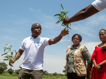 Action Against Hunger CEO Dr. Charles Owubah speaks with farmers in Zambia about the benefits of cowpeas - also known as black-eyed peas.