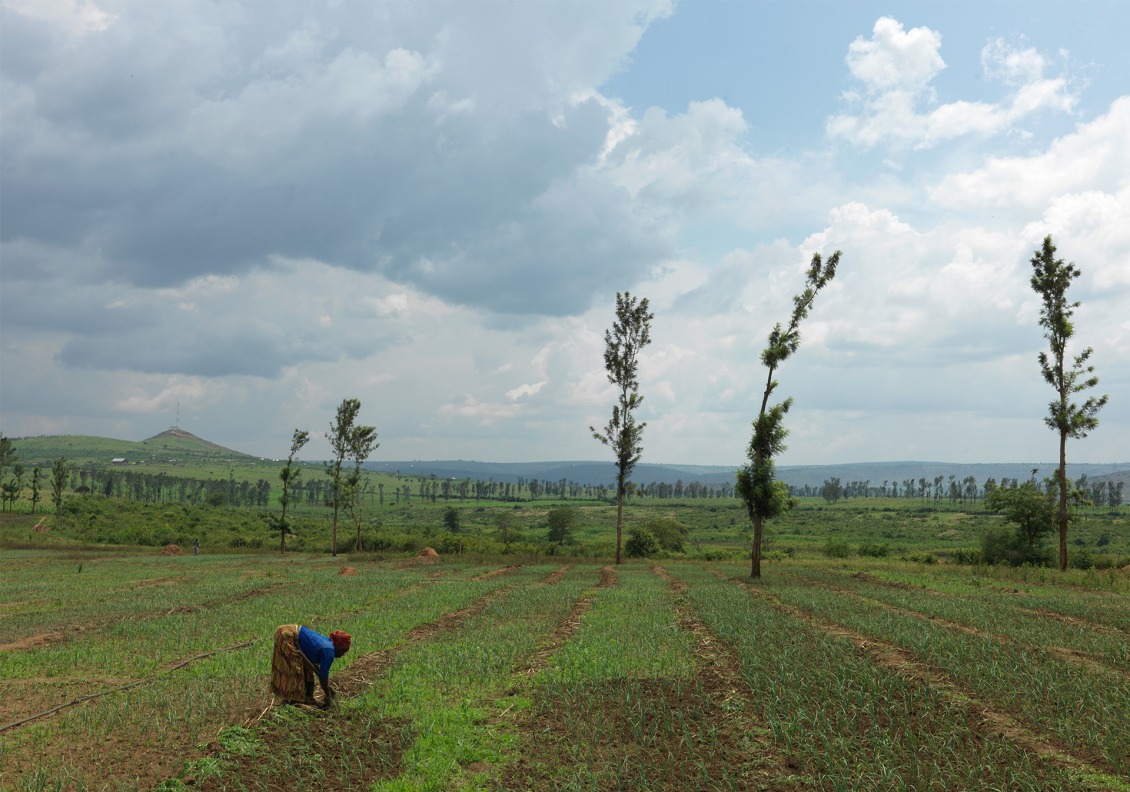 Justine farms in Uganda.