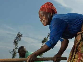 Shikiranya Juistine,43, and her husband, Eliazar Niyibizi, de-weed their onions at Rwoma B block farm in Mbararra. Shikiranya is part of Action Against Hunger's SIDA project which has helped her to access land and seed and tools to farm her onions.