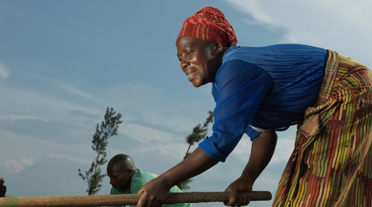 Shikiranya Juistine,43, and her husband, Eliazar Niyibizi, de-weed their onions at Rwoma B block farm in Mbararra. Shikiranya is part of Action Against Hunger's SIDA project which has helped her to access land and seed and tools to farm her onions.
