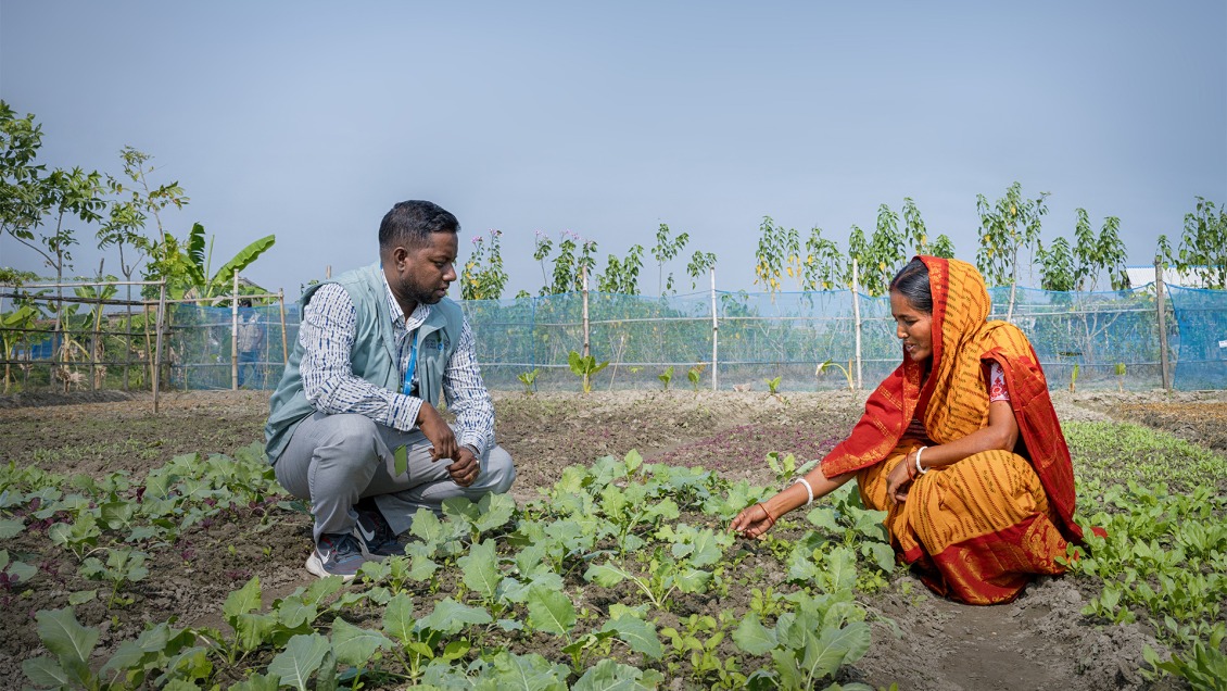 A man and woman look at crops in Bangladesh