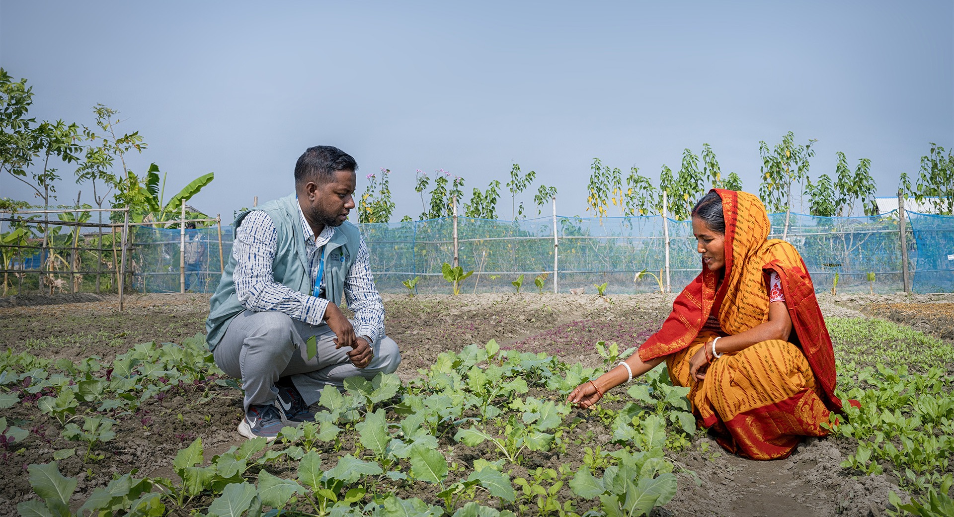 A man and woman look at crops in Bangladesh