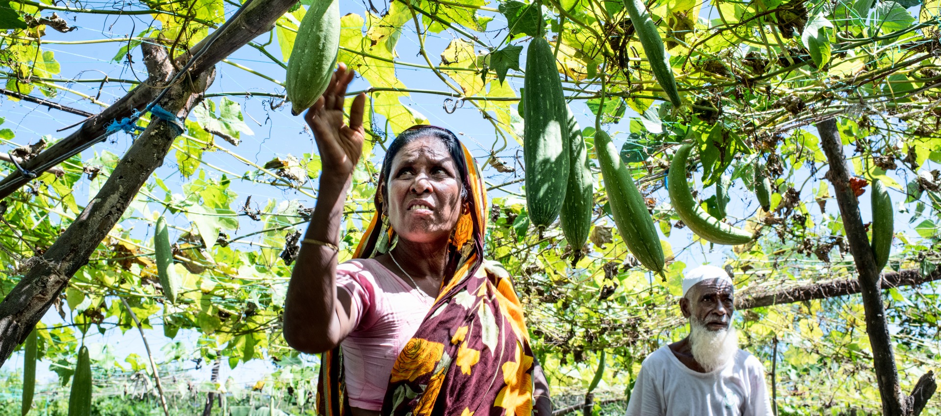 A woman admires the produce growing from above in her garden. Her husband stands in the background.