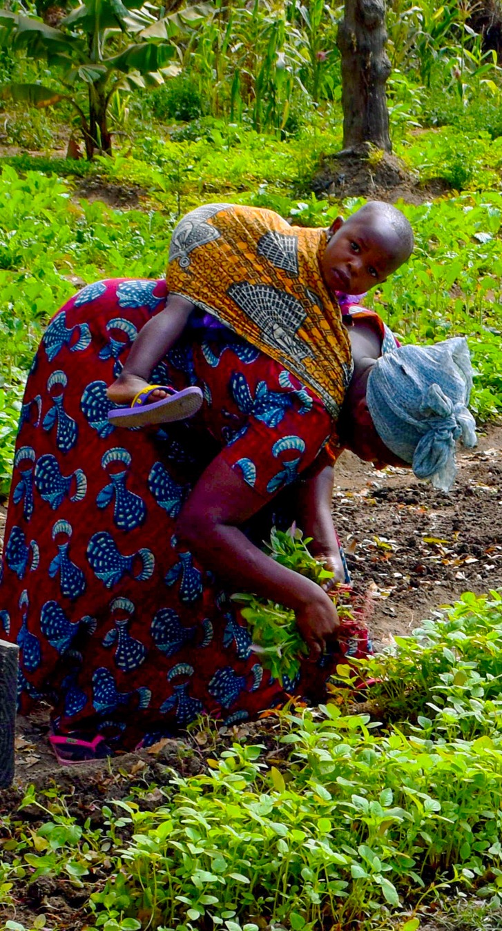 A woman and her baby in a demonstration plot