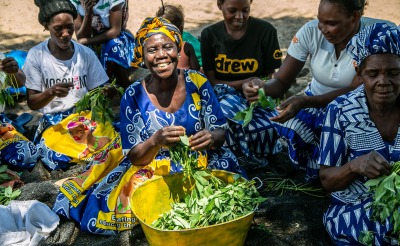 Dorothy Samba Makina (64) sits bathed in sunshine and smiling at the centre of a group of friends and relations while they pick fresh cassava leaves in Kande Village, Kaeya Agricultural Camp