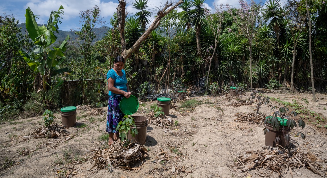 Alicia in a garden in Guatemala who leads an irrigation project.