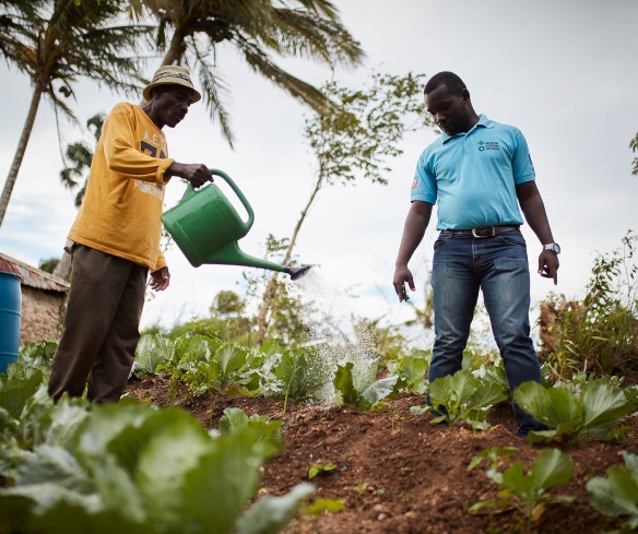 Action Against Hunger works to support farmers and to improve food insecurity in Haiti.