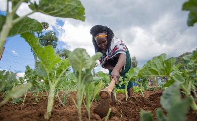 A woman farms crops in Kenya.