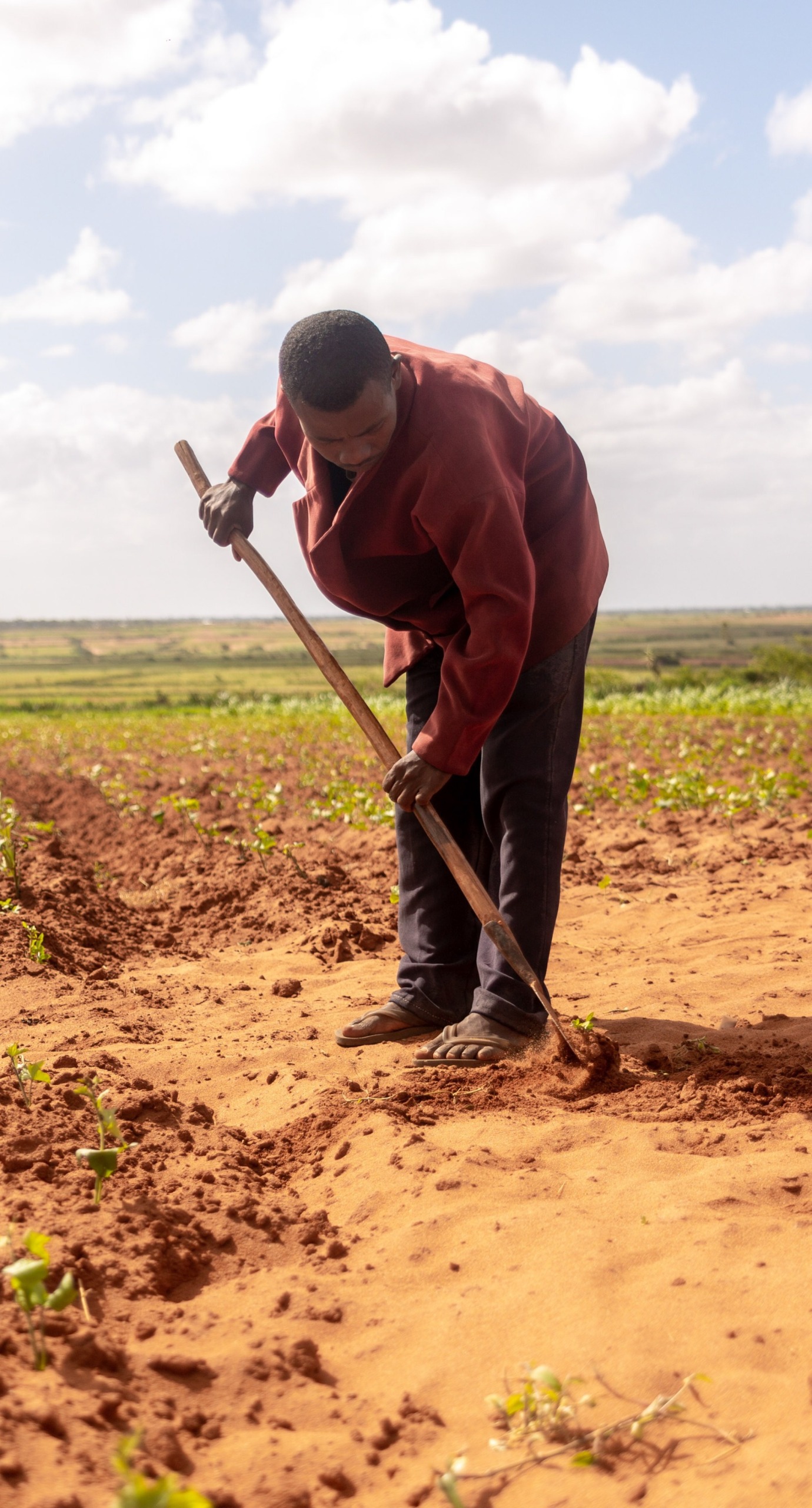 A farmer works in his parched fields.