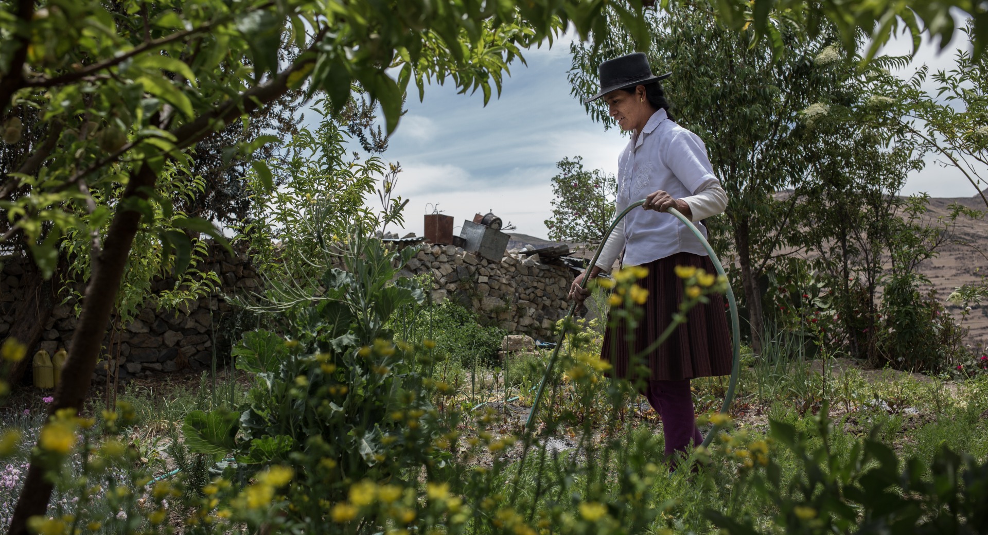 A woman cultivates her garden.