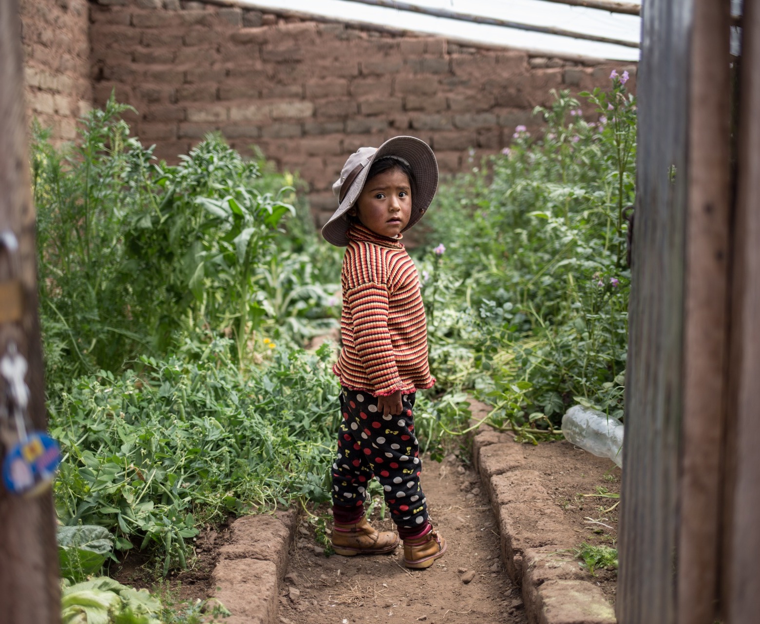 A child stands in a garden