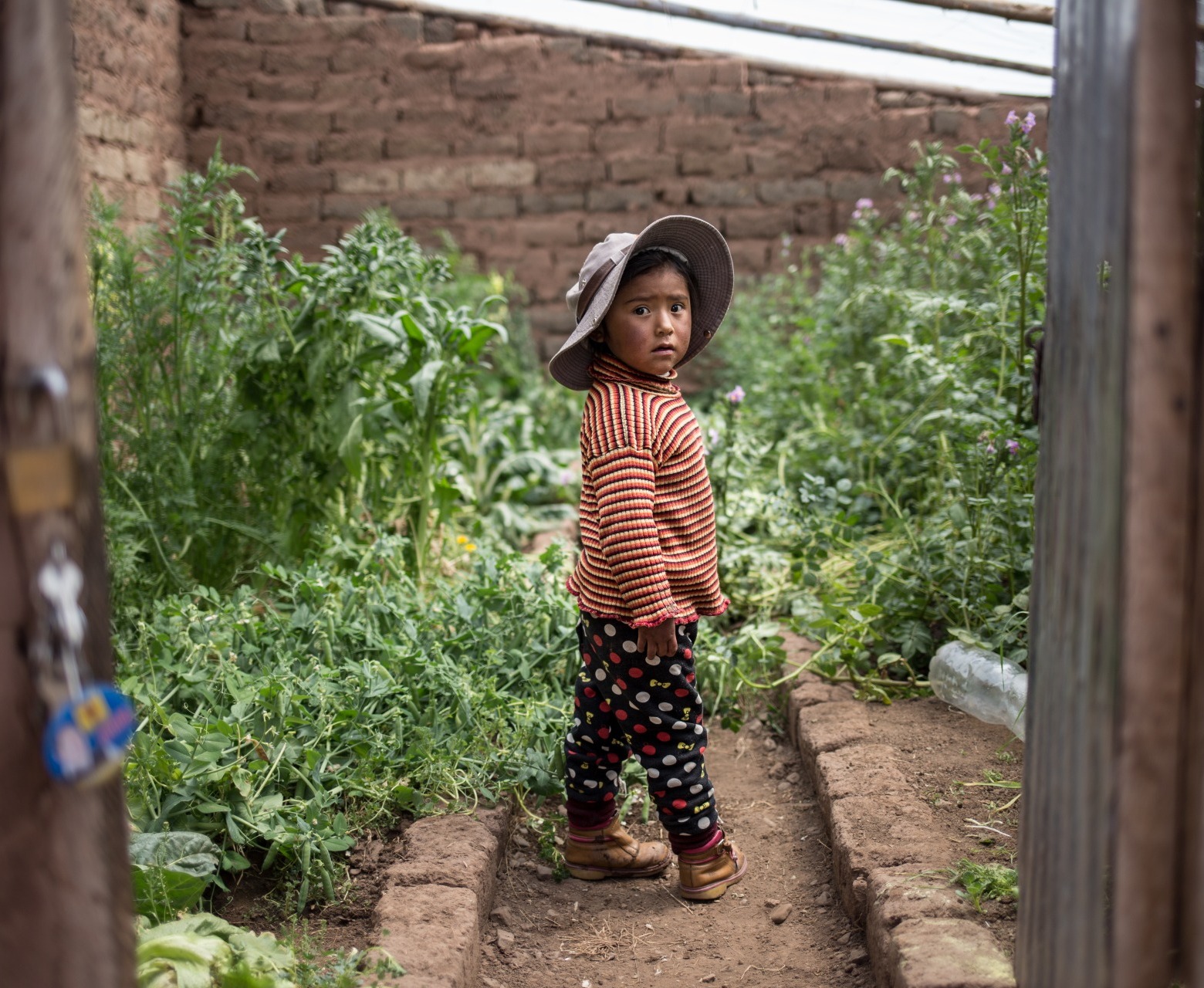 A child stands in a garden