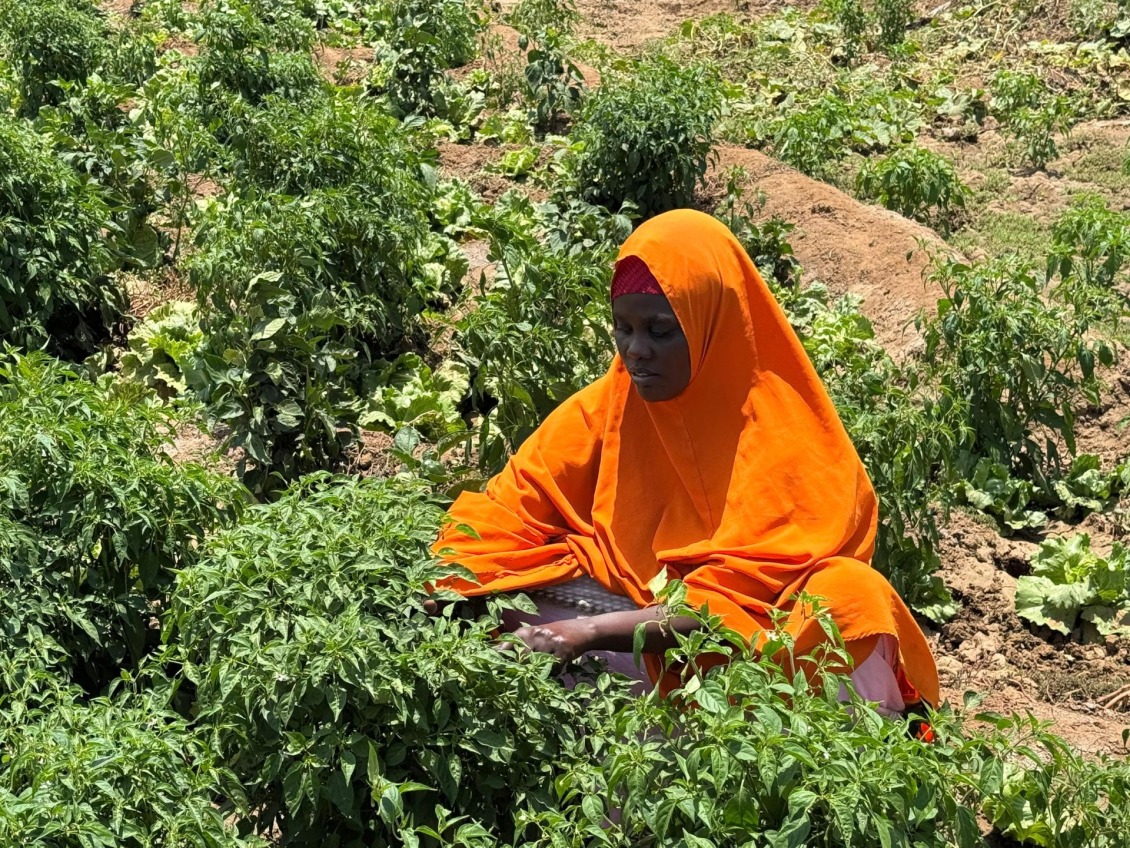Halima tends to her crops.