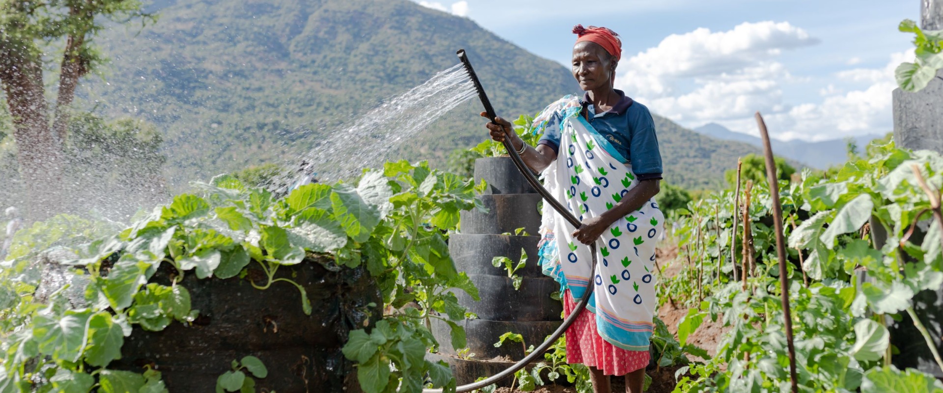 A woman waters a garden.