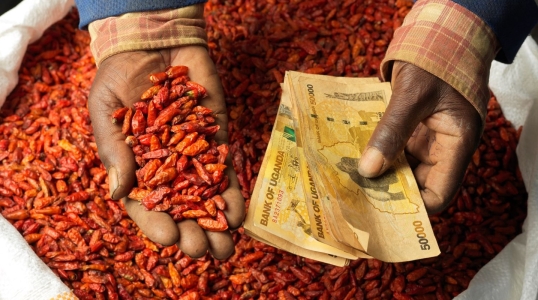 Two hands holding cash and red chilis.