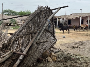 Destruction from the floods in Sindh.